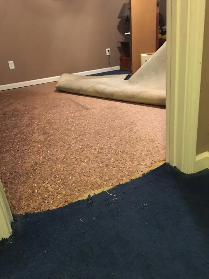 Carpet pad removal revealing water damage during Water Mitigation Services in Eden Prairie