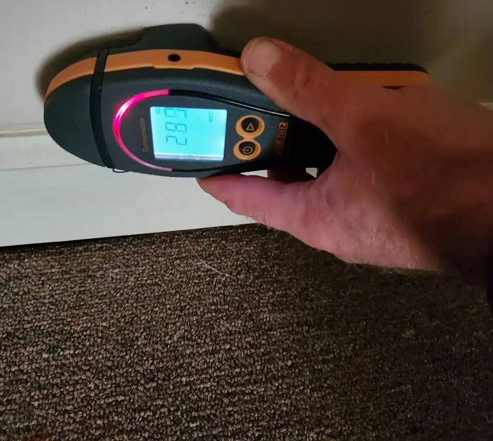 Moisture detection at baseboard during Burst Pipe Cleanup in Eden Prairie